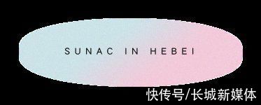 归心交付全纪实 四载大城美好动容|融创臻园壹号 | 实拍