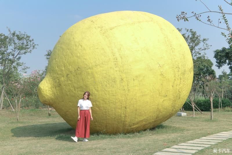 村里|古村里的顺德味