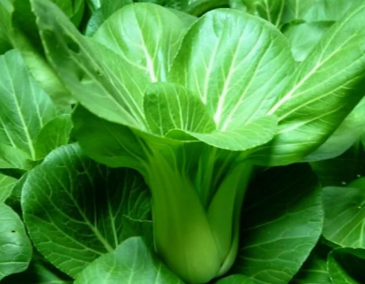 维生素b2|女性中年爱美，3种食物多吃点，排毒养颜，肌肤细腻，吃了不后悔