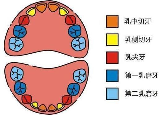 孩子|送给孩子正在换牙的父母们，你们一直都做错了什么？