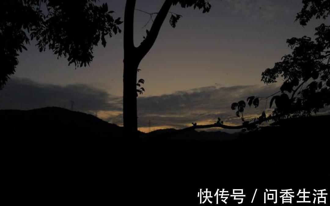 辛弃疾$辛弃疾夜里出门散步,信手拈来写下一首词,每一句都美得令人惊艳