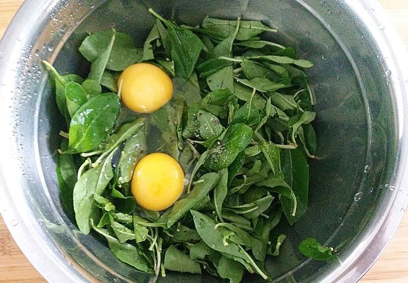 枸杞叶|茴香韭菜不如它,5块钱1斤,常吃眼睛明亮,和鸡蛋一炒特别鲜香