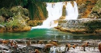 旅游胜地|水源重点保护区，陕西的国家级森林公园，避暑旅游胜地