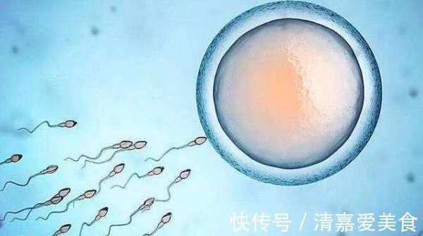 男孩子|为什么有的女性生不了男孩子?满足你的好奇心,别不好意思看!