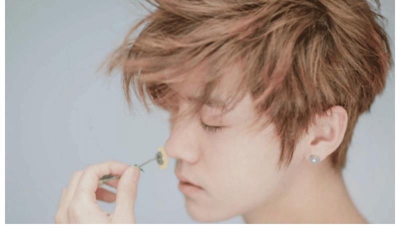 鹿晗是不是快过气了？除了几档综艺节目之外，也没有其它作品了