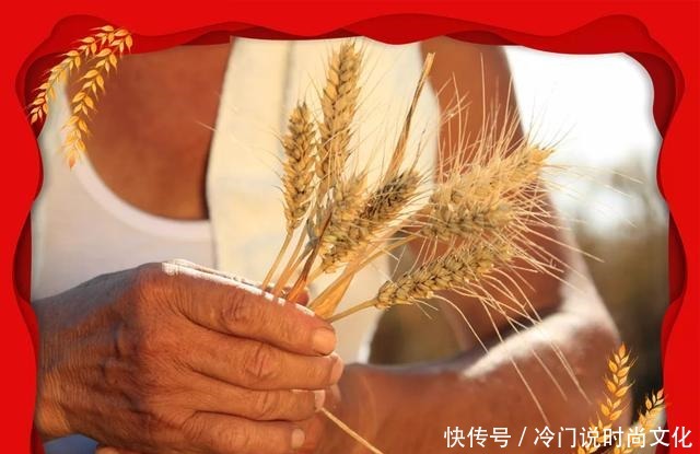 午时|「丰收·十二时辰·午时」举杯欢庆宴席起 节约美德广流传