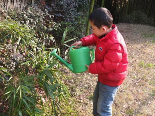 养花就用它来浇，怎么浇都肥，怎么养都好，植物很容易爆盆