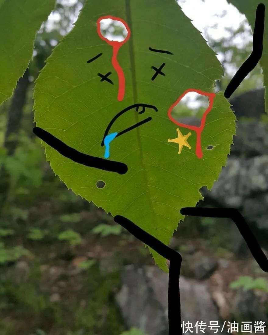 伊尔凡·伊尔马兹$他的手有“魔法”,在照片上随便涂鸦几笔,整个场景就生动起来