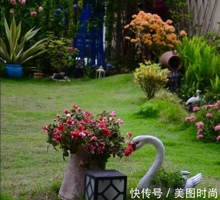 三角梅|120㎡别墅花园改造,经过三年的努力,小院从荒地到花开满园