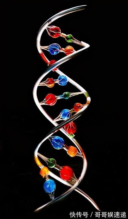 长寿|研究了87位百岁老人,“长寿之乡”有6个关键点