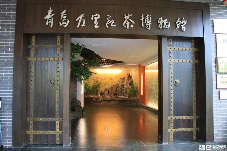 南茶北引|青岛市崂山区万里江茶博物馆举办茶文化专题展