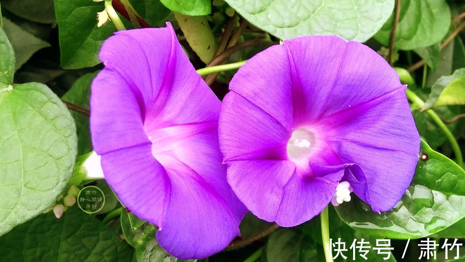 邂逅@一次无意的邂逅,便有了一段爱情