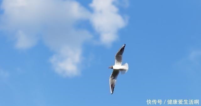 卢梭&尼采的思想很疯狂,他揭露了人性的可怕一面