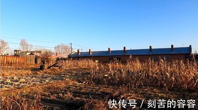 院落|曾经辉煌的育英林场,场部变冷清,一万一套还没有人要