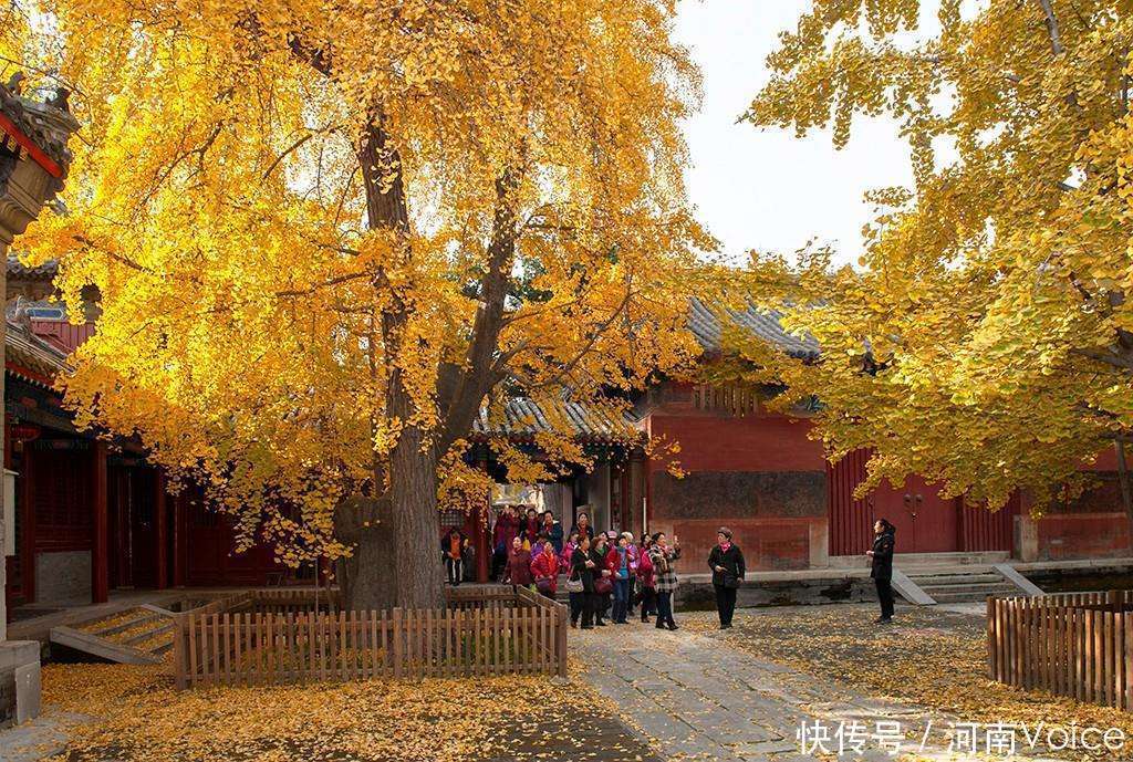  神秘|国内一座“神秘”寺庙，500年来从未开过庙门，且不接受游客香火