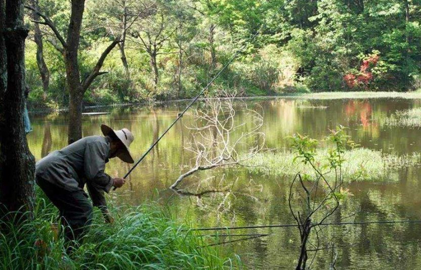 钓友|新手野钓如何找到最佳钓位?按照这个思路来准没错