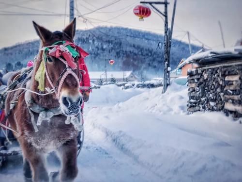 乘坐|乘坐雪国列车，去漠河找北，挑战极寒！