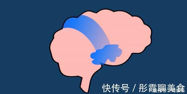 方仲永|哈佛研究发现:孩子一生只有1次变聪明的机会,抓住一个就稳了