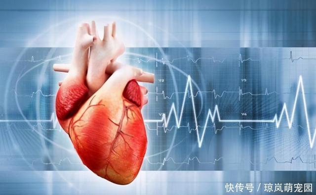 心衰|心脏不好的人，会有4种表现，若一个不占，恭喜你心脏很健康