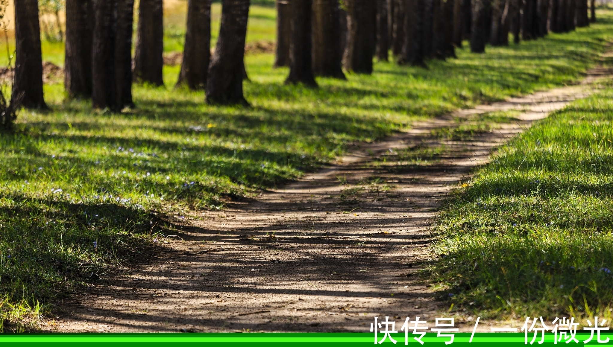 霜禽@在宋诗中,这五首诗称得上是精华,您认为呢