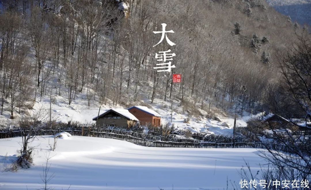 满天|今日大雪：冬季雪满天 来岁是丰年