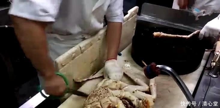 没想到|在韩国花2500买了只10斤重的帝王蟹,结果没想到厨师处理后就变成这样了