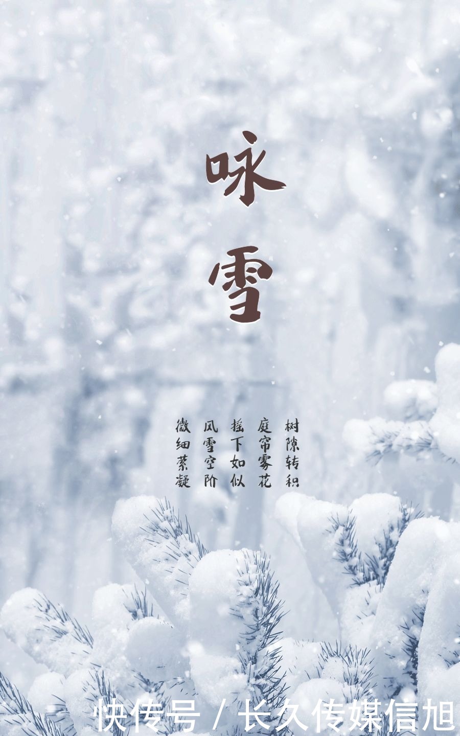 惊艳|惊艳！苍溪九龙山雪景美到cry！