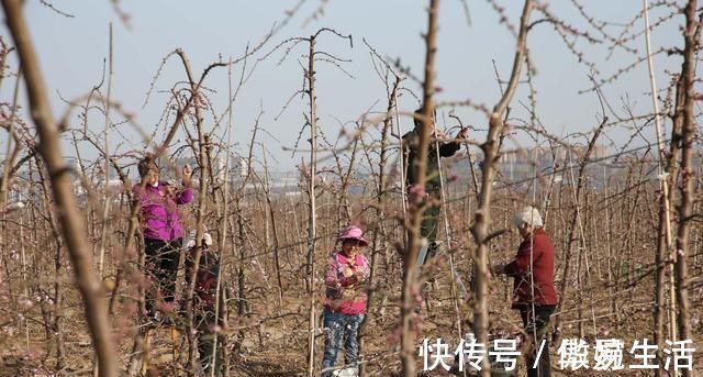 公园|吐槽完公园里“大妈上树”，黄河岸边又出现“采花大盗”，啥情况