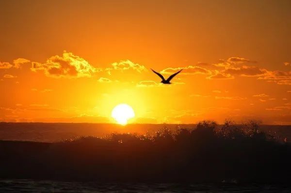 龙游县税务局|今日重阳丨夕阳红 朝阳美 蓄力税务共发展