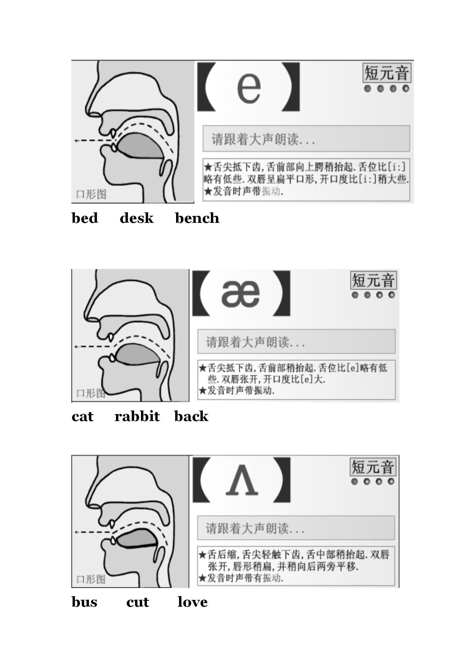 图说英语：音标背诵默写班，音标口型图必不可少