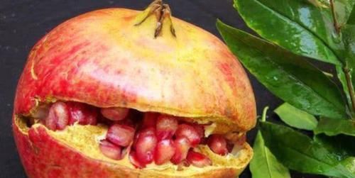  补充|冬天来了，多吃3种养生食物，补充营养、滋补身体，好处多多