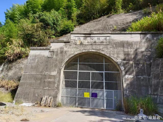 秧田村|仙居县秧田村，大山深处藏官帽，千年古柏历经坎坷仍伟岸