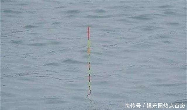 饵料|一半钓鱼人还不知，秋钓出现这3种情况，说明找底出了问题！