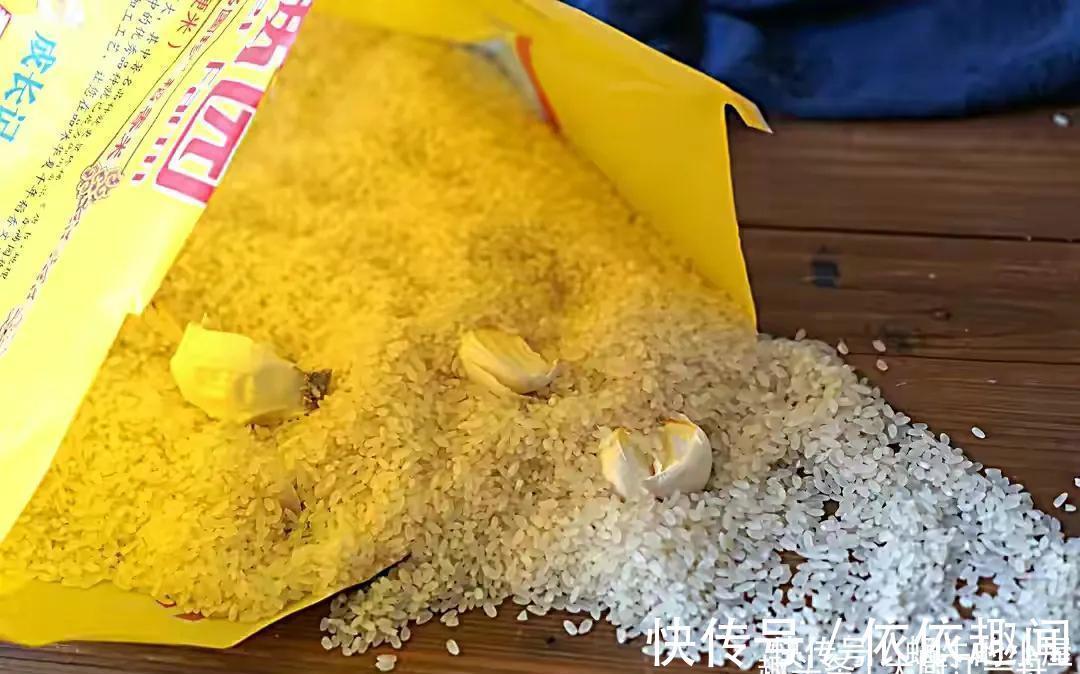 江一舟|夏天,大米里面容易长虫子,超市员工教你2招,保存一年不会坏