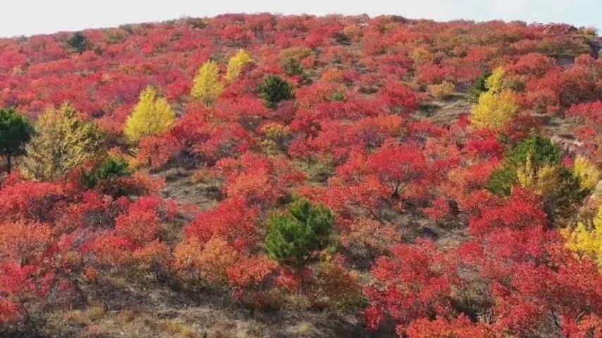 推荐｜神奇古乡·魅力敖汉