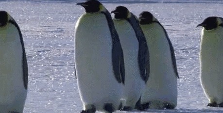 运动|脾胃不好,全身都差!一种奇怪的运动,治好了很多人的老胃病