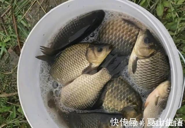 钓鱼|浅谈江河野钓走水和流水调漂抓口,只要不是激流一样可以很好钓