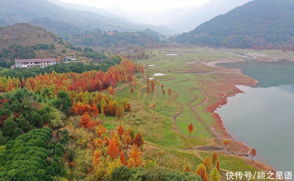 绵延|云之南，秘境小三峡，红杉林绵延