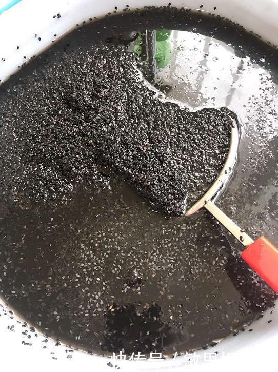 天然|它是“天然钙片”,孩子常吃长高个,比吃钙片强,有助智力发育!