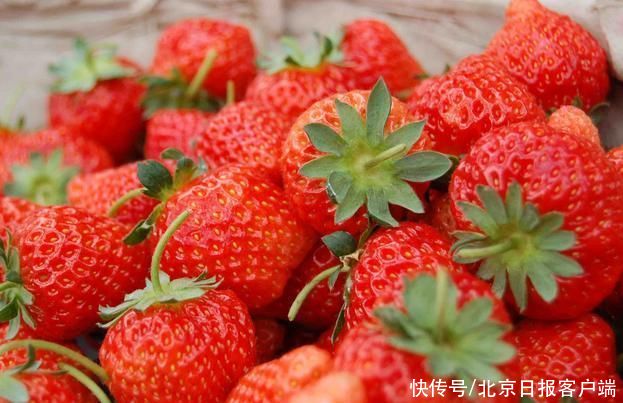 水果越甜热量越高？衣服中的涤纶、腈纶、锦纶到底有什么区别？|北京号小课堂 | 油壶