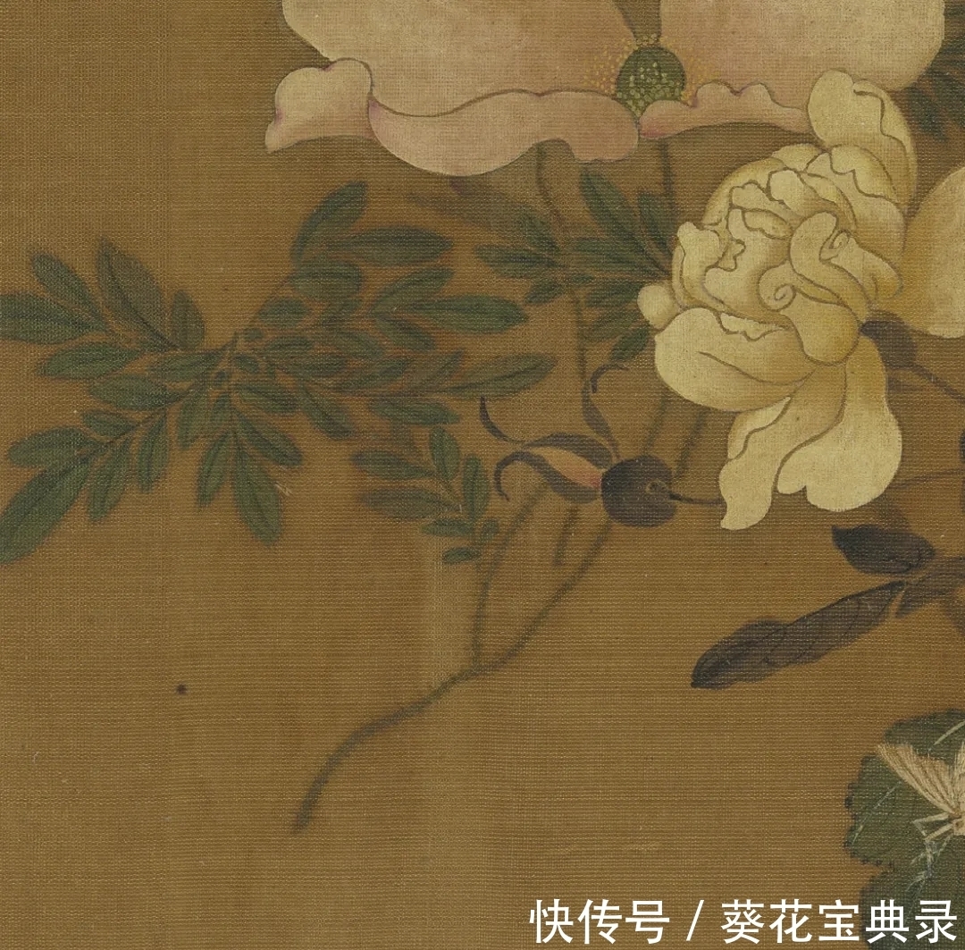 王渊$雅韵网---元代王渊之虞美人月季作品欣赏