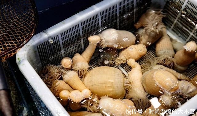 浙江|浙江最不可忽视的美食之城