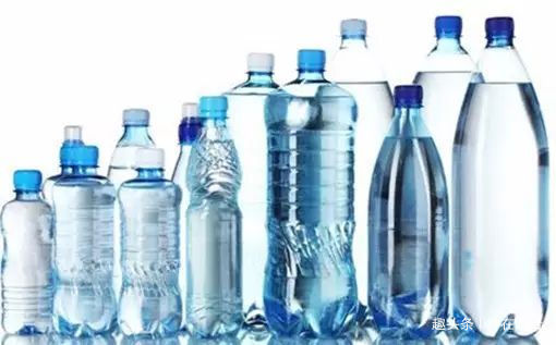 零成本将90地球植物种在阳台上 ，台长教你水陆两栖扦插法