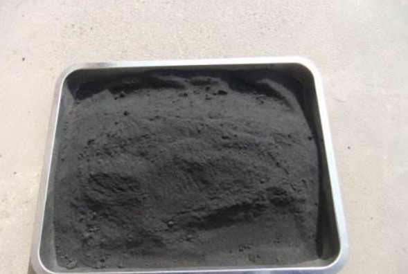 “三角梅”花朵越来越少，用上“一点小东西”，能开到“上千朵”