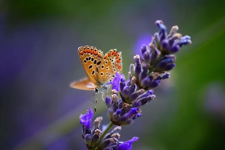 事實(shí)上，看看你家的這個(gè)地方，就知道你過得好不好，沒必要假裝