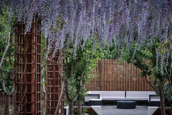 刘嘉玲和朱珠享受缦合宁静