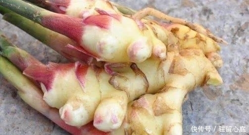 男女|张仲景:生姜加它,不论男女常吃,肾强血压降口臭消,1周瘦8斤