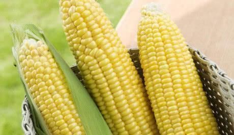 女人|女人有子宫肌瘤不用怕, 多吃这几种食物, 活血化瘀“消肌瘤”