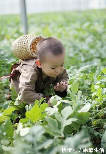 卤菜|孩子为什么选你做父母？你不甚在意的孩子，很可能是来报恩的