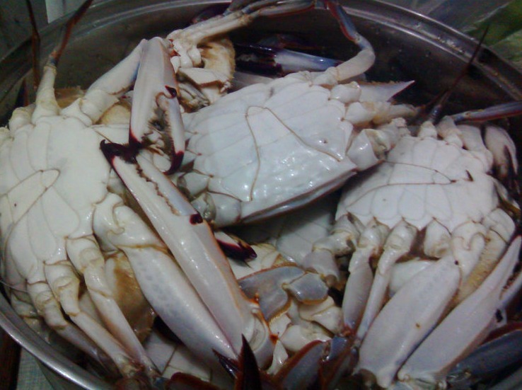 清蒸螃蟹,直接蒸是大错!多加1步,螃蟹不掉腿不流黄,鲜嫩美味